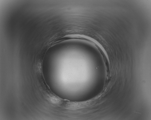 X0000073520045200608071133