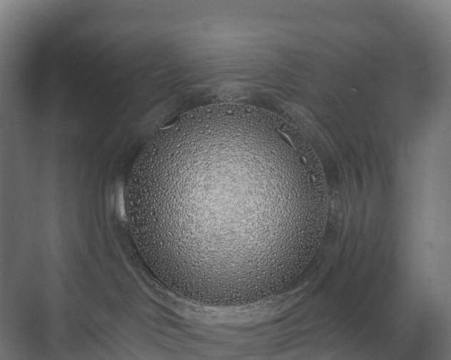 X0000073520046200608071133