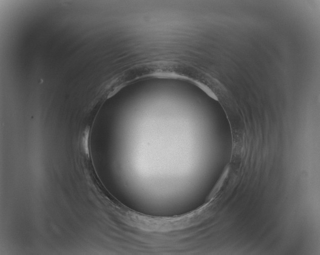 X0000073520047200608071133