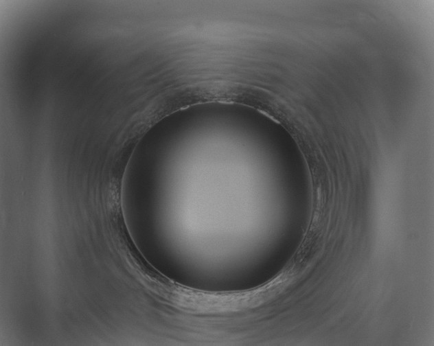 X0000073520048200608071133