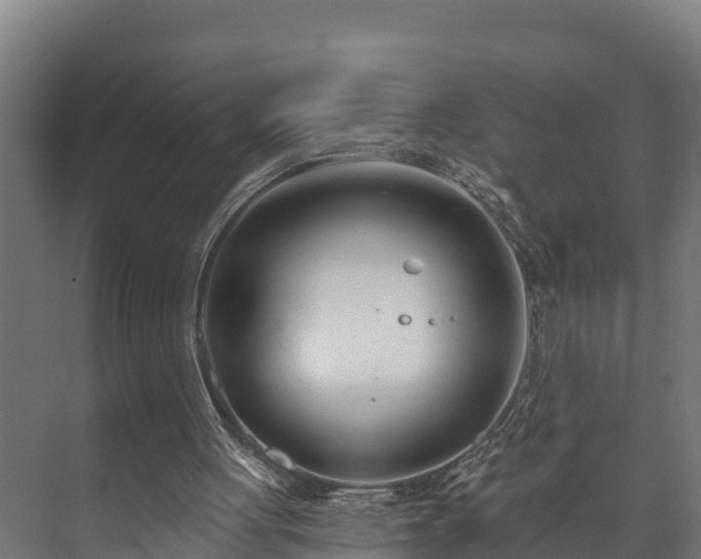 X0000073520051200608071132