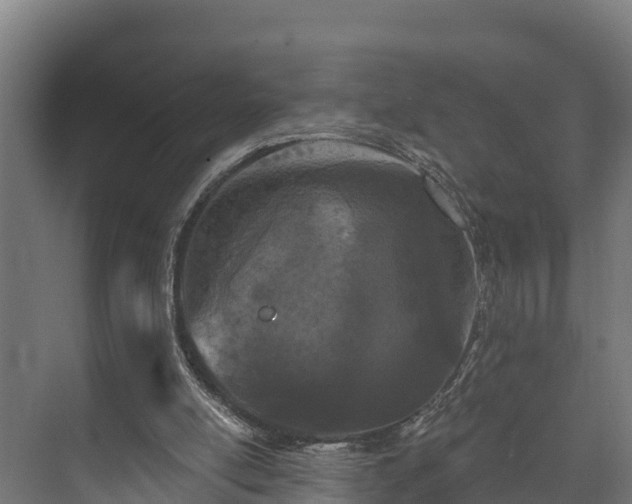 X0000073520054200608071132