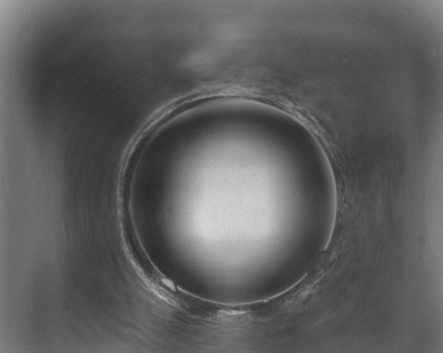 X0000073520055200608071132