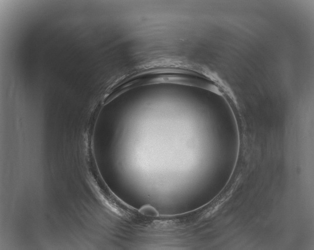 X0000073520057200608071132