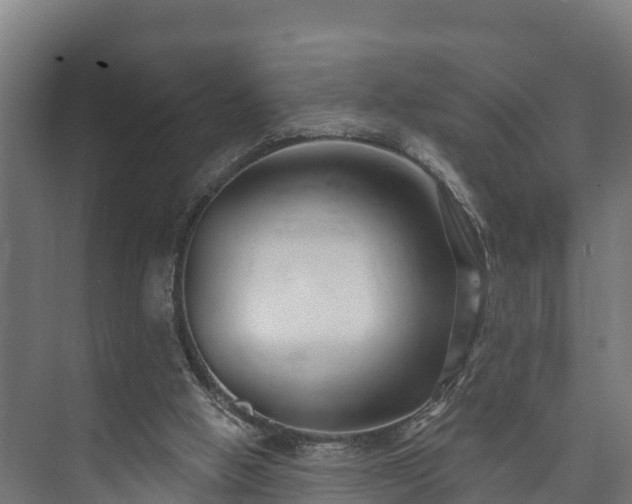 X0000073520058200608071132