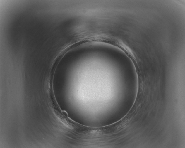 X0000073520059200608071132