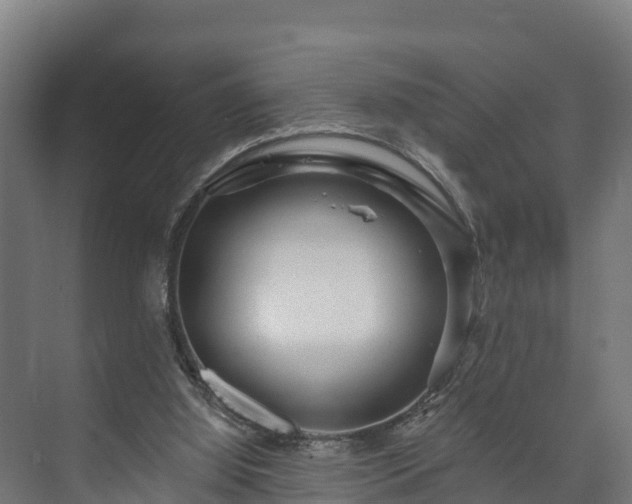 X0000073520060200608071132