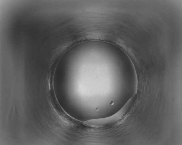 X0000073520062200608071132