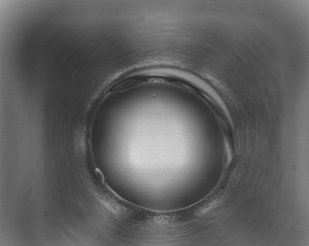 X0000073520064200608071132