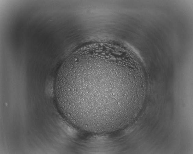 X0000073520065200608071132