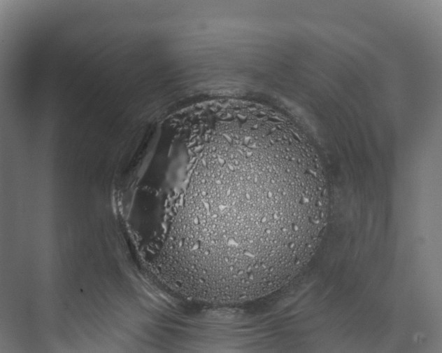 X0000073520069200608071132