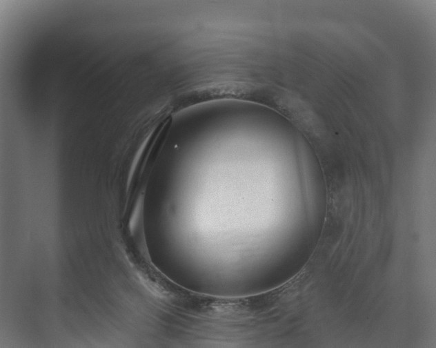 X0000073520070200608071132