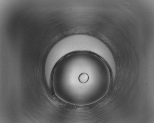 X0000073520072200608071132