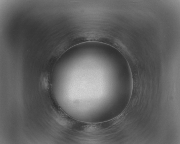 X0000073520074200608071132