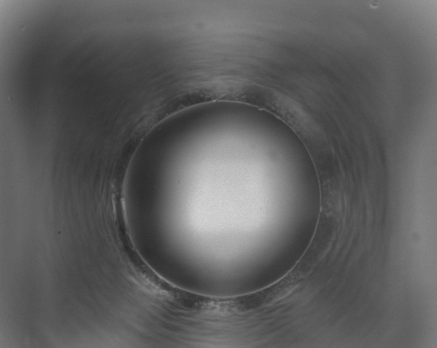 X0000073520077200608071132