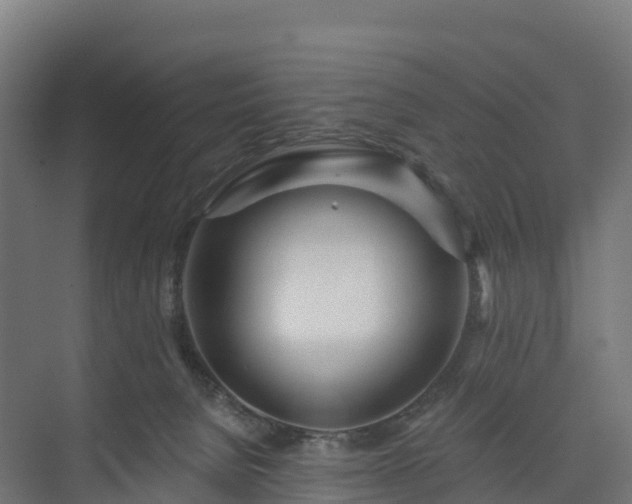 X0000073520080200608071132