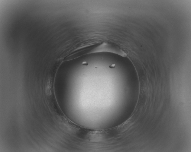 X0000073520082200608071133