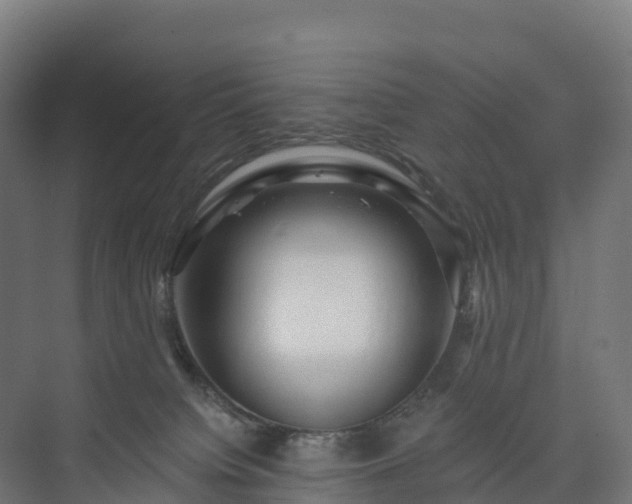 X0000073520084200608071133