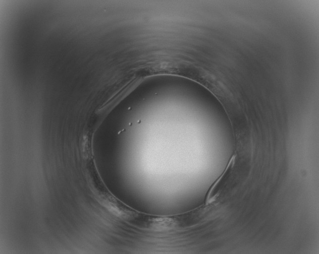 X0000073520087200608071133