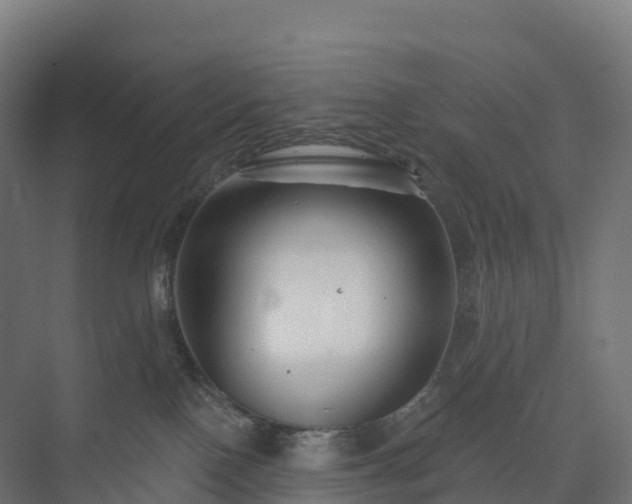 X0000073520090200608071133