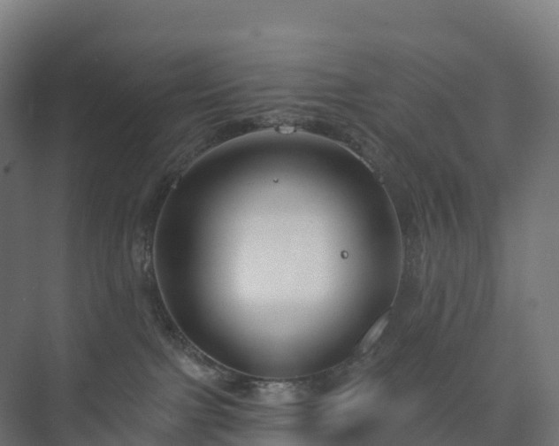 X0000073520091200608071133