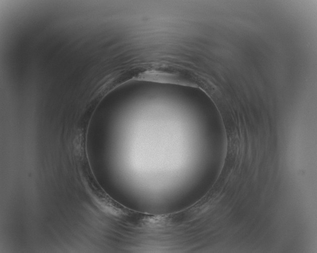 X0000073520092200608071133