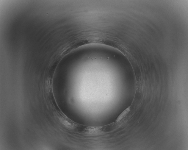 X0000073520093200608071133