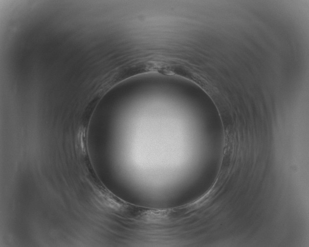 X0000073520094200608071133