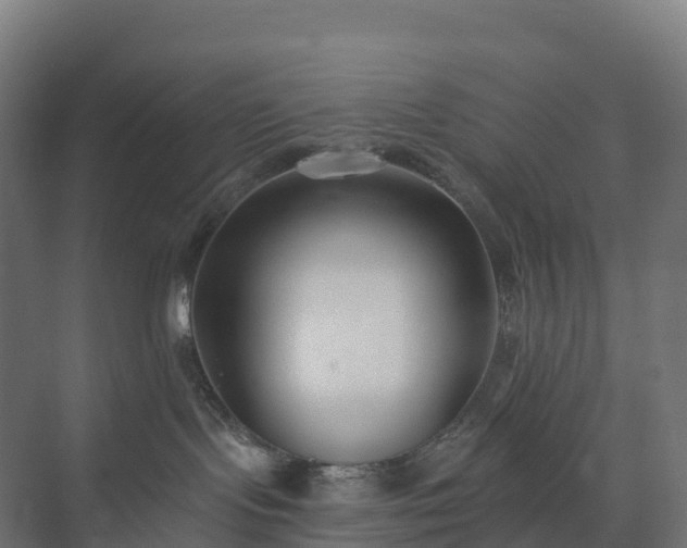 X0000073520095200608071133