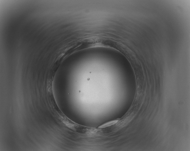 X0000073520096200608071133