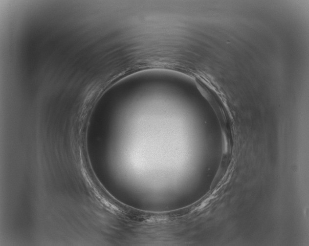 X0000073520097200608071132