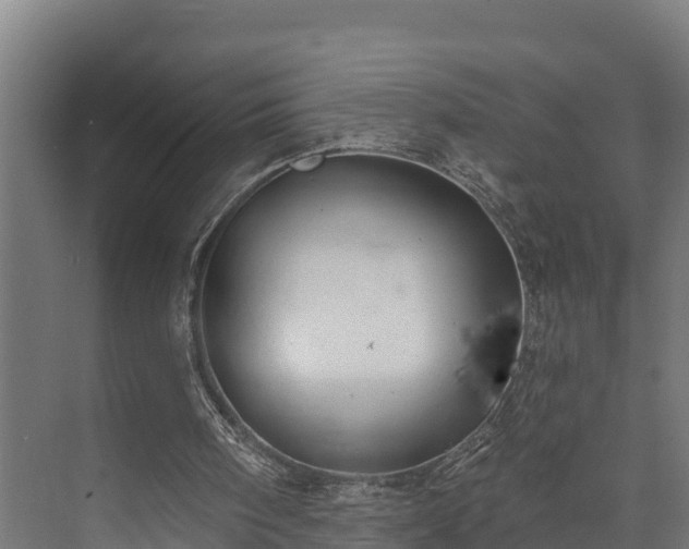 X0000073520098200608071132