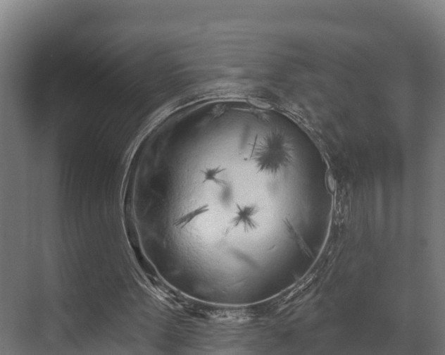 X0000073520099200608071132