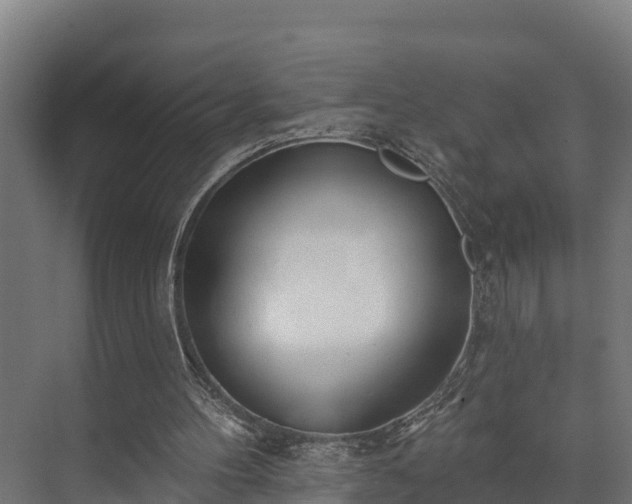 X0000073520100200608071132