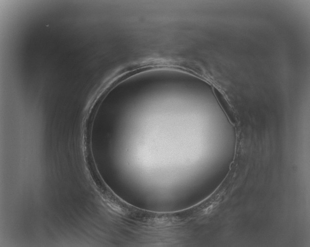 X0000073520103200608071132