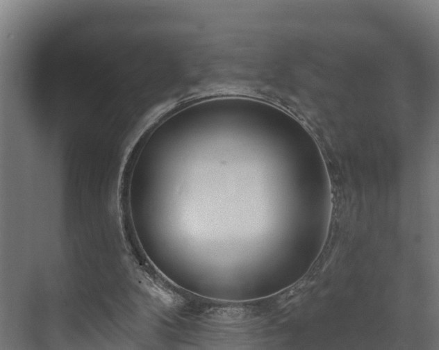 X0000073520104200608071132