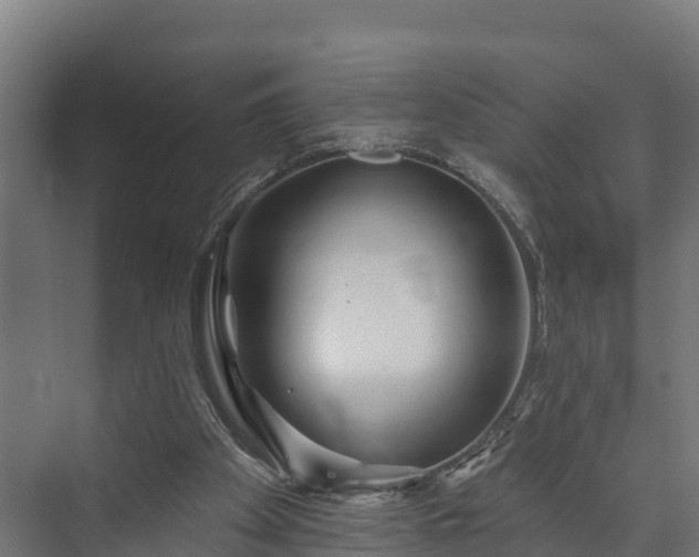 X0000073520105200608071132