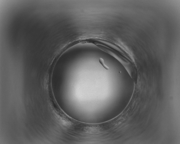 X0000073520107200608071132