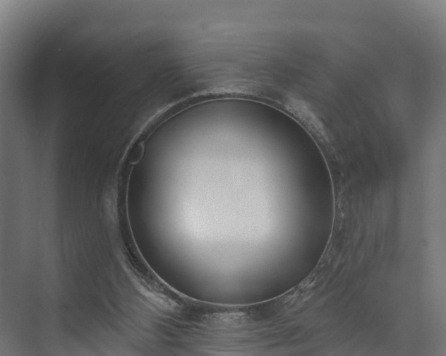 X0000073520108200608071132