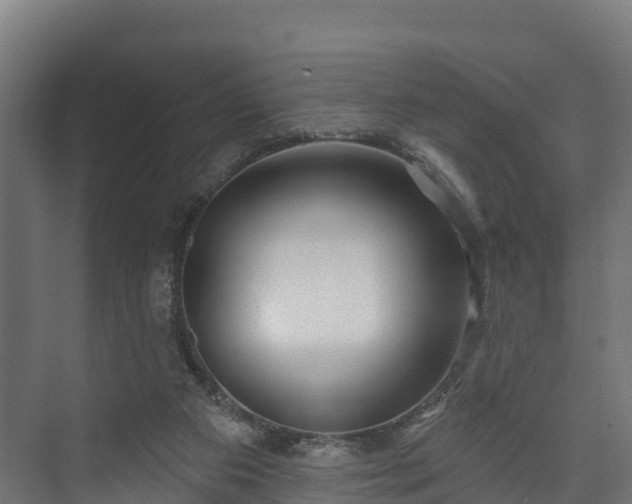 X0000073520113200608071132