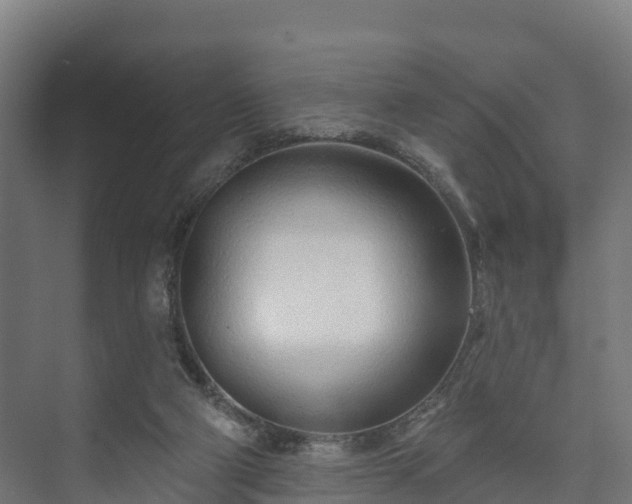 X0000073520114200608071132