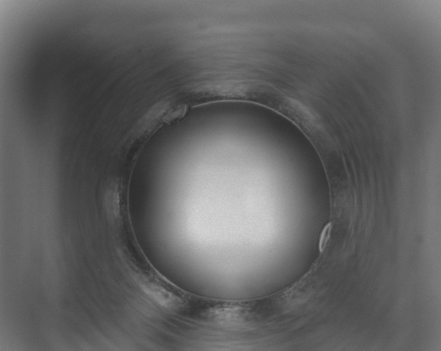 X0000073520120200608071132