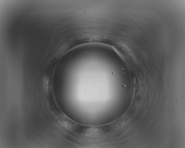 X0000073520123200608071132