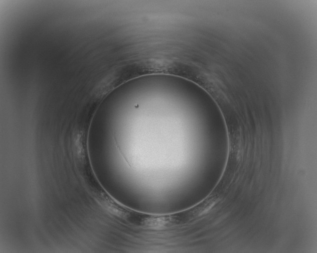 X0000073520131200608071131