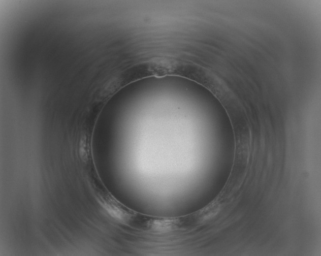 X0000073520134200608071131