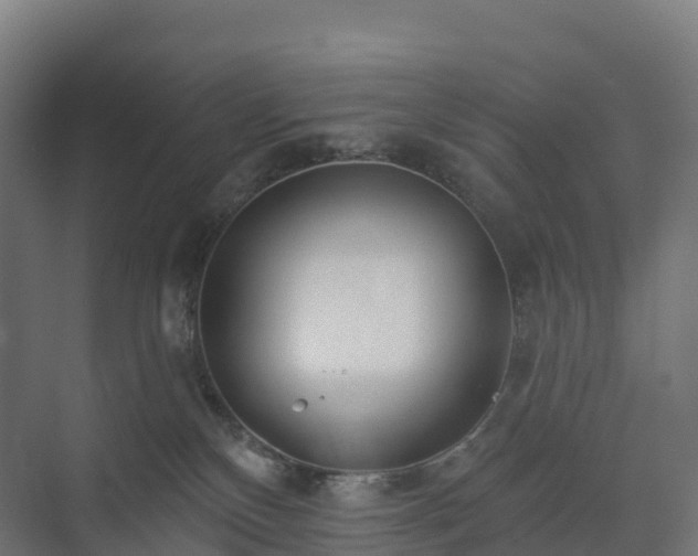 X0000073520136200608071131