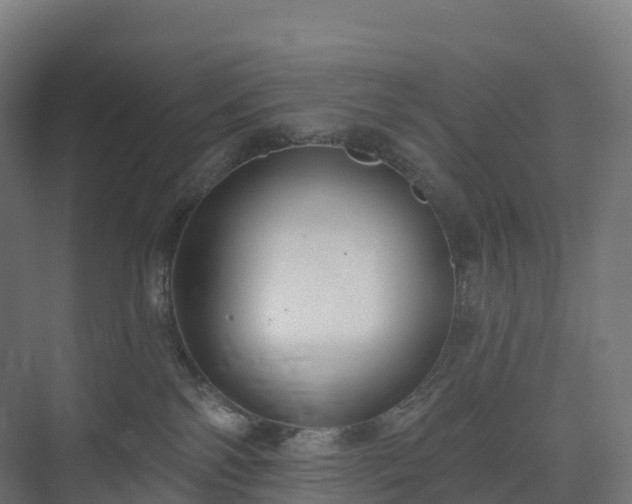 X0000073520138200608071131