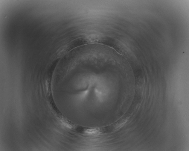 X0000073520139200608071131