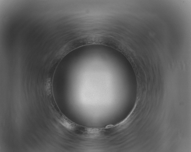 X0000073520144200608071131