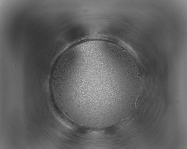 X0000073520155200608071131